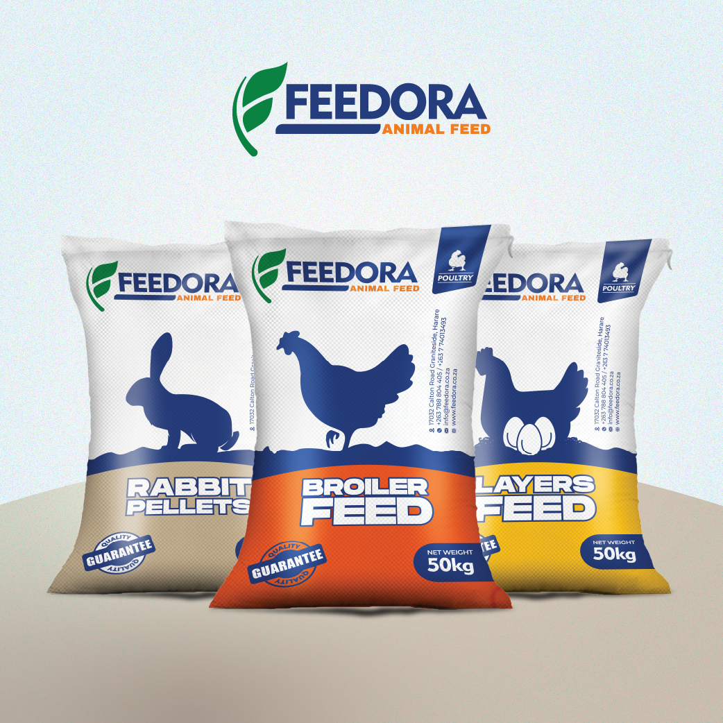 Package Designs